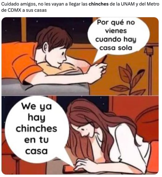 Plaga de chinches de la UNAM en CDMX desata los memes ansiosos de usuarios