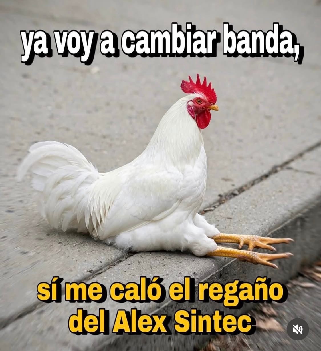 Aleks Syntek es objeto de memes tras su polémico concierto del 15 de septiembre