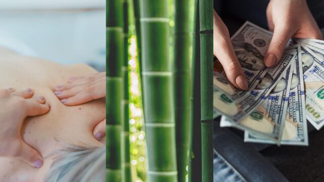 Este 18 de septiembre se celebra el Día Mundial de la Quiropráctica, el Día Mundial del Bambú y el Día de la Igualdad Salarial