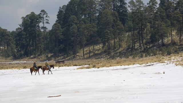 Una granizada atípica sorprendió a los ejidatarios que manejan el Santuario de la Mariposa Monarca Piedra Herrada