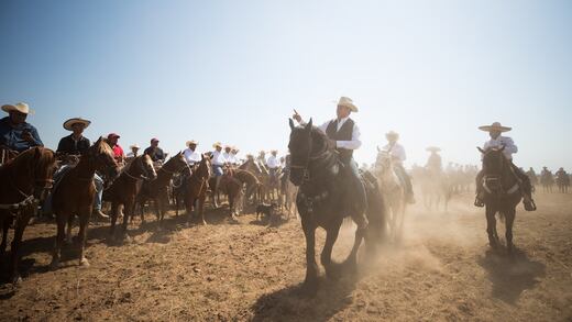 Denuncia 'Bronco' app del INE ante la Fepade