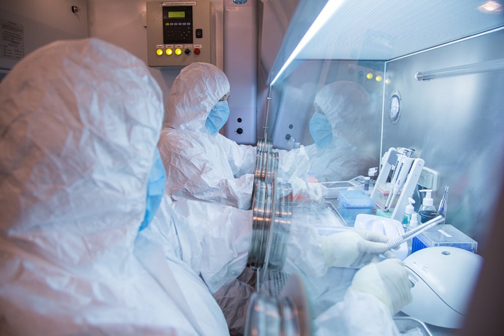 La OMS publicó una evaluación inicial de riesgos por el posible caso de peste neumónica en Rusia