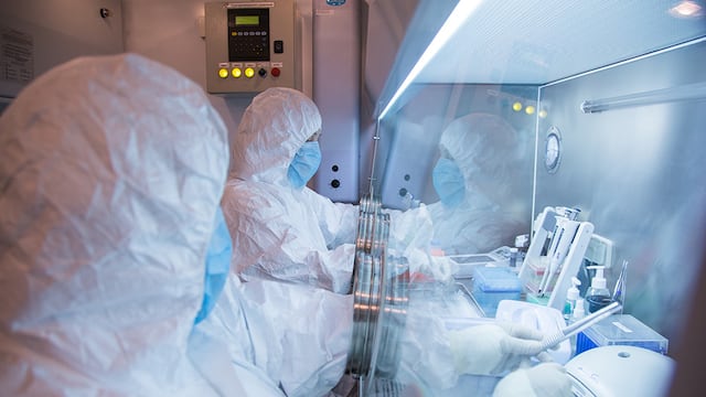 La OMS publicó una evaluación inicial de riesgos por el posible caso de peste neumónica en Rusia