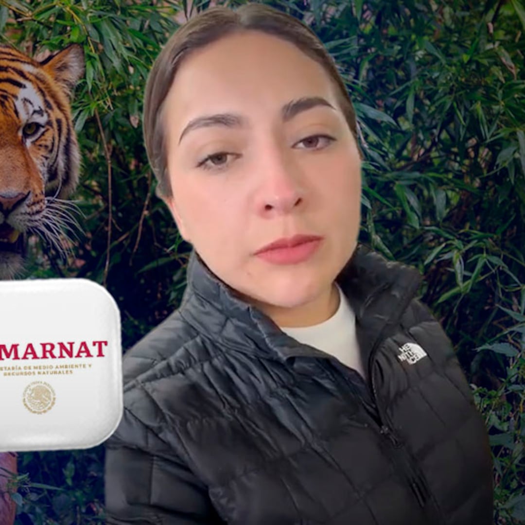 Alerta en Tepetlaoxtoc: tigre escapa de centro de resguardo de Semarnat