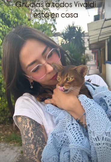 Luis Fernando Peña, gatito Vivaldi