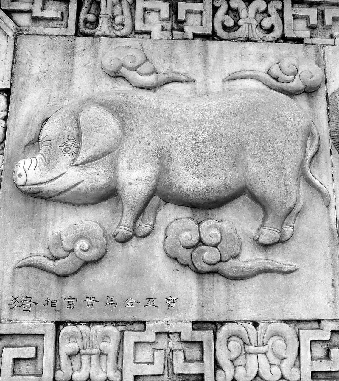 Cerdo, animal del horóscopo chino