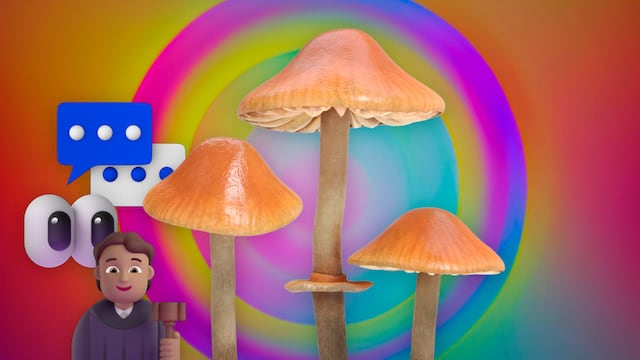 Consumo de hongos alucinógenos estarán a debate en la SCJN con una propuesta a su favor