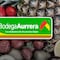 Bodega Aurrerá tianguis de frutas y verduras hoy al 22 de agosto 2024: Estas son las mejores ofertas
