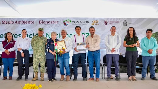 Oaxaca refuerza acciones de reforestación y restauración forestal