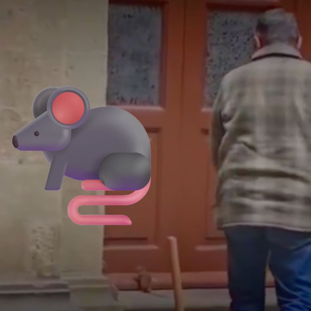 Una rata en Palacio Nacional: esto se sabe de su captura