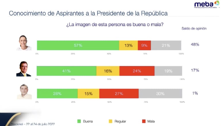Encuesta Mendoza Blanco