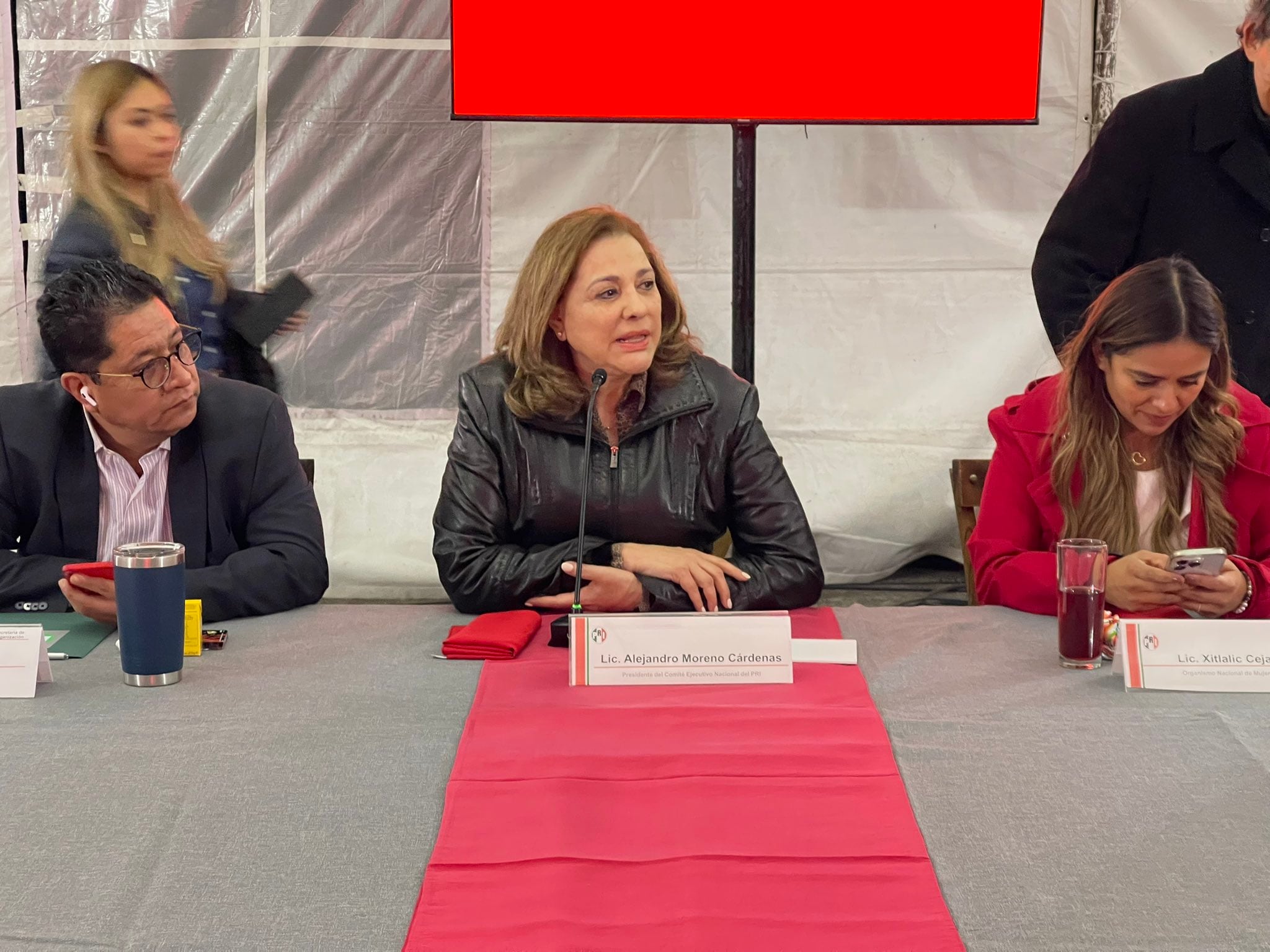 Graciela Ortiz, dirigente interina del PRI