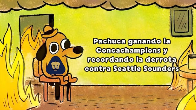 Memes Pumas