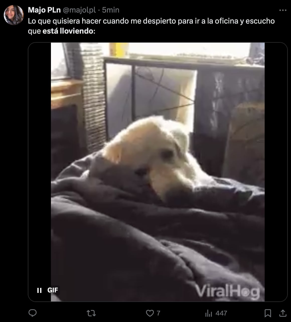 Los memes de la sorpresiva e intensa lluvia que despertó al Estado de México