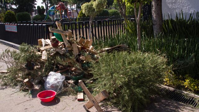 Mercado de Trueque, le mejor opción para sacarle provecho a los árboles de Navidad.