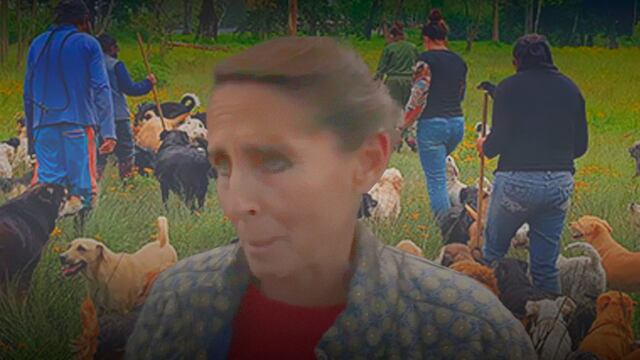 ¿Quién es Gina Rivara? Directora de Refugio Franciscano