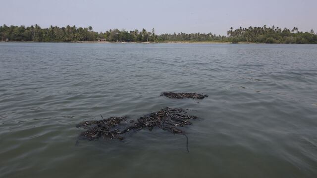 Laguna de Mecoacán también sufre la tragedia medioambiental en Paraíso, Tabasco