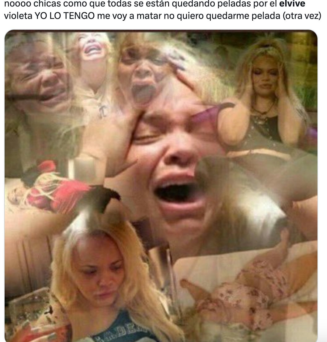 Los memes del Shampoo Elvive Morado con ácido hialurónico