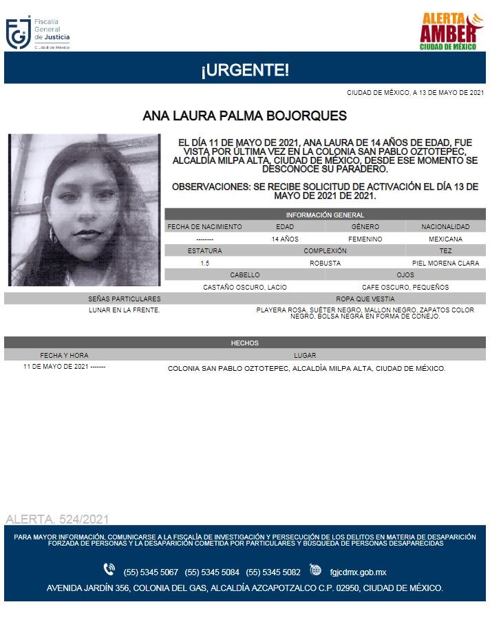 Ficha de búsqueda de Ana Laura