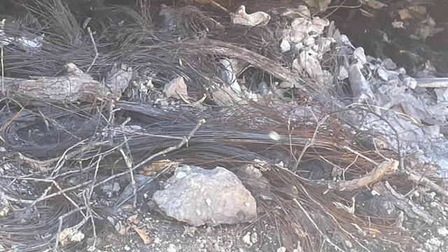 Madres Buscadoras de Sonora localizan crematorio clandestino