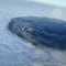 Estados Unidos: Nube tóxica sobre Ohio tras accidente con cloruro de vinilo