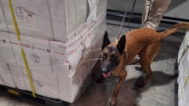 Decomisan más de 4 toneladas de cigarros en el AICM, equivalentes a 3 millones de unidades
