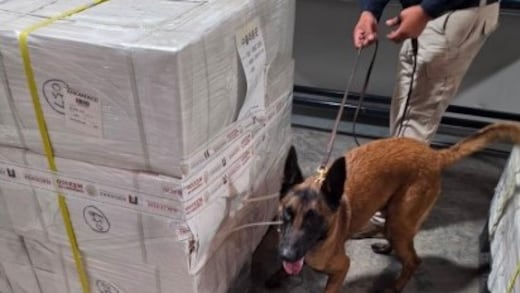 Decomisan más de 4 toneladas de cigarros en AICM