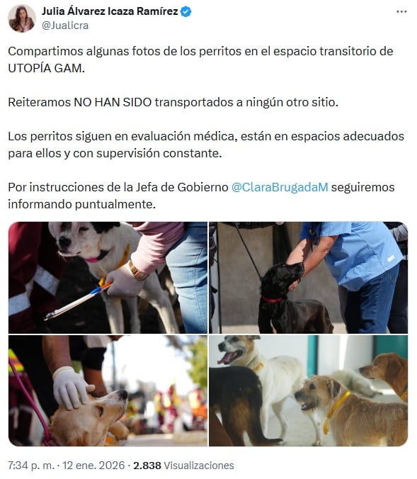 Álvarez Icaza desmiente versión de Salinas Pliego sobre el Refugio Franciscano