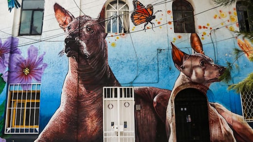 Patrimonio familiar: entre la herencia, los impuestos y el Estado