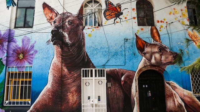 Murales en viviendas de la calle doctor Erazo en la alcaldía Cuauhtémoc