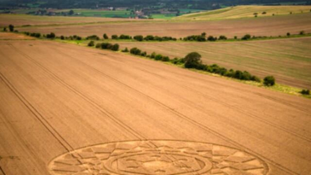 Crop Circle, Jaime Maussan