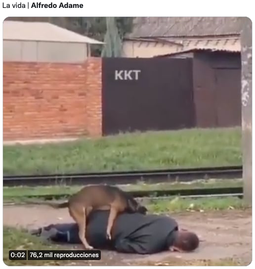 Memes de Alfredo Adame y su nueva golpiza