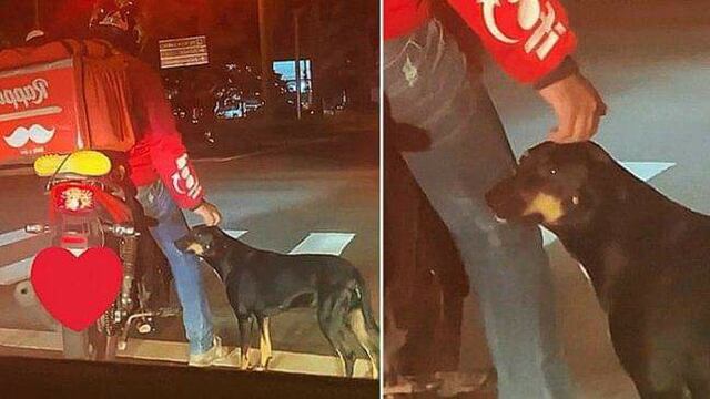 Repartidor se encariña con perrito