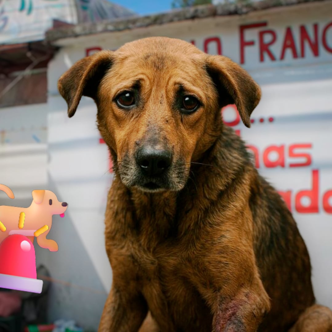 Refugio Franciscano presenta antecedentes de muertes y hacinamiento, informa CDMX