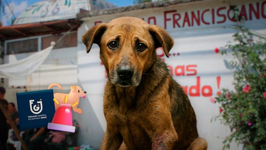 Refugio Franciscano presenta antecedentes de muertes y hacinamiento, informa CDMX