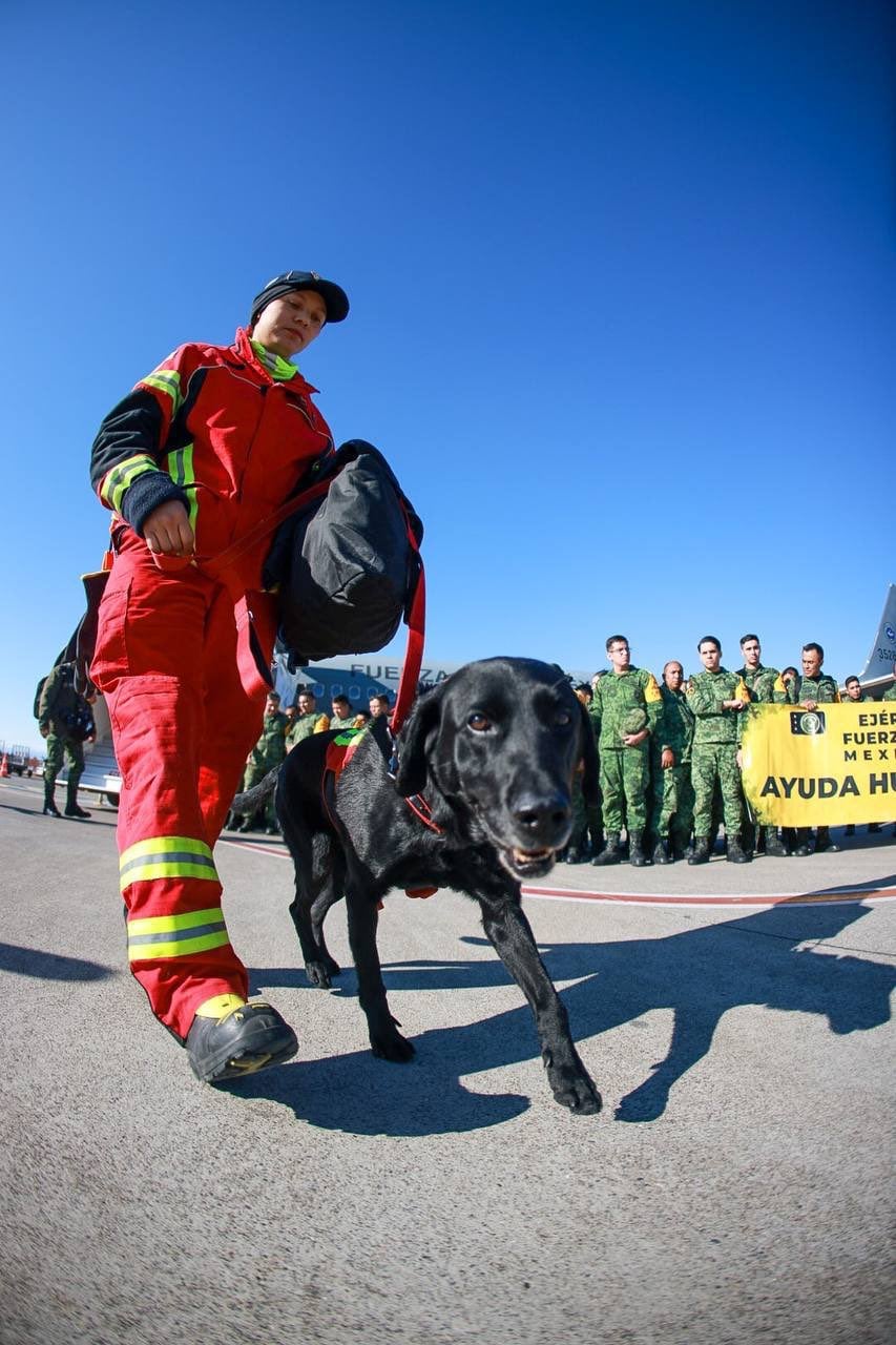 Avión de la Fuerza Aérea Mexicana aterriza en Turquía; misión de rescate se dirige a Adiyaman