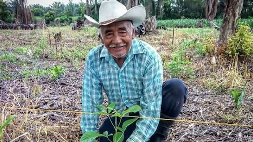 Sembrando Vida septiembre 2025: ¿Cuándo cobran los sembradores según el apellido?