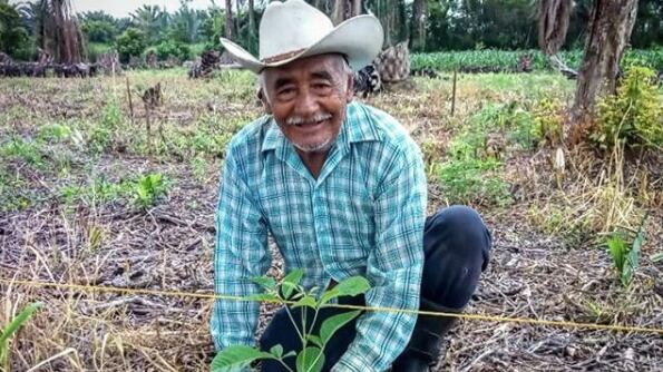 Sembrando Vida septiembre 2025: ¿Cuándo cobran los sembradores según el apellido?