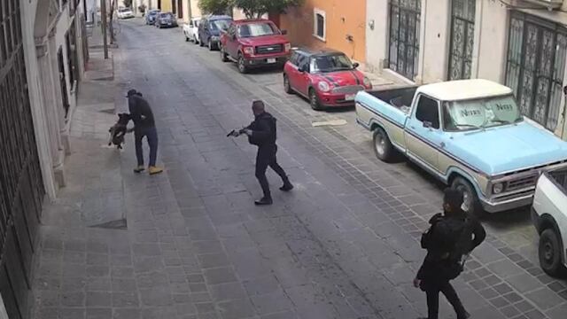 El sujeto atacó al perro.