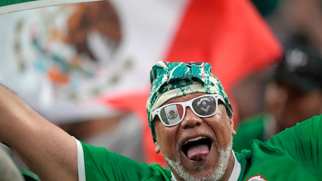 Fans Selección Mexicana