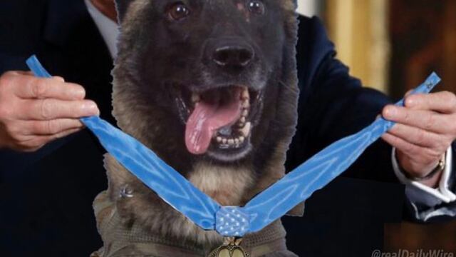 Donald Trump comparte fotomontaje con perro héroe de misión contra el Estado Islámico
