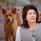 Sacrificio de perros en Tecámac: alistan protesta contra Mariela Gutiérrez en el Senado