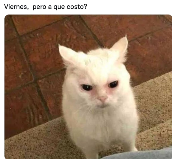 Meme de "Viernes pero a qué costo"