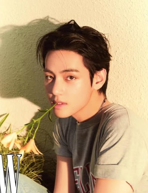 Kim Tae-hyung, V, de BTS