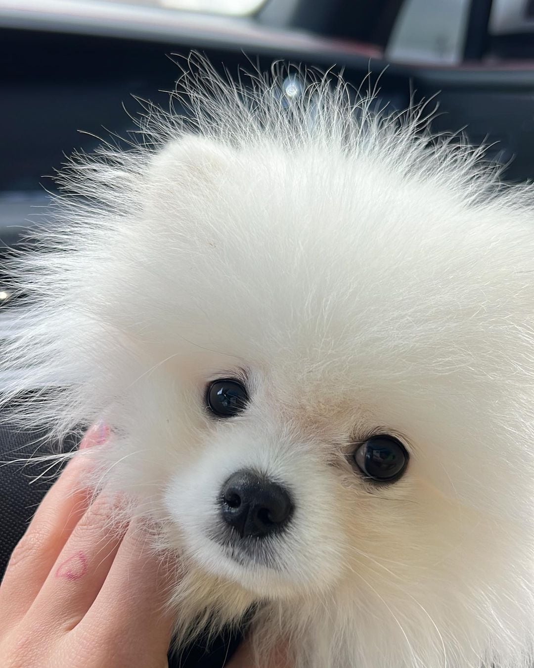 Yailin La Más Viral