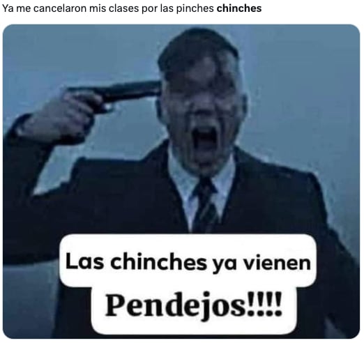 Plaga de chinches de la UNAM en CDMX desata los memes ansiosos de usuarios