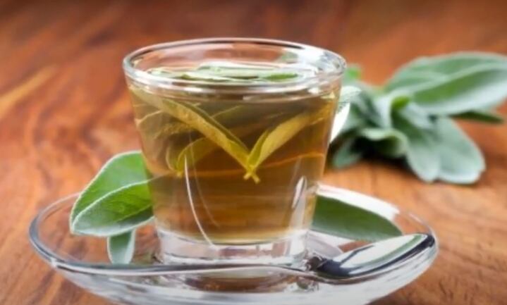 Salvia, planta medicinal que te ayuda a blanquear los dientes