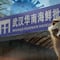 Covid-19: Un perro mapache del mercado de Wuhan sería el origen del virus, según nuevo estudio