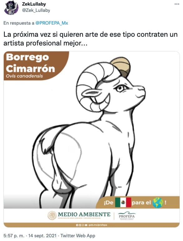 Tuit sobre el borrego cimarrón