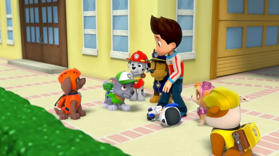 Paw Patrol por el cumpleaños de Rosalind Franklin
